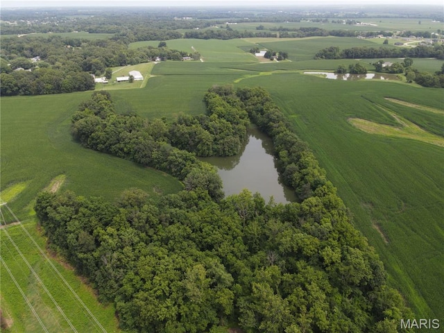 1454 Scott Troy Rd, Lebanon, IL 62254 - photo 31