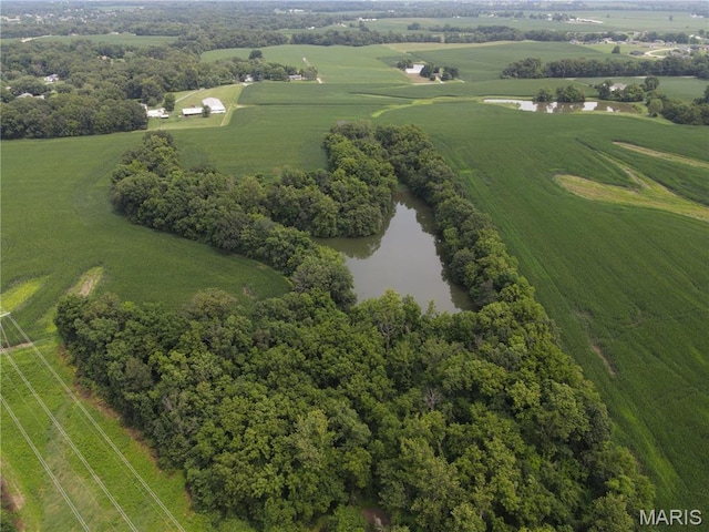 1454 Scott Troy Rd, Lebanon, IL 62254 - photo 32