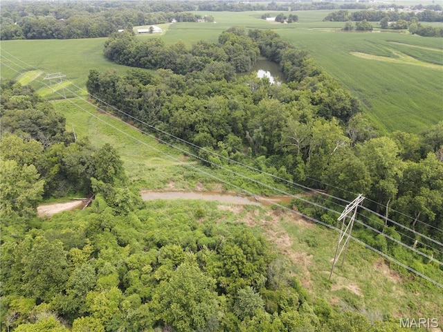 1454 Scott Troy Rd, Lebanon, IL 62254 - photo 33