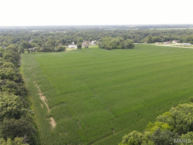 1454 Scott Troy Rd, Lebanon, IL 62254 - photo 35
