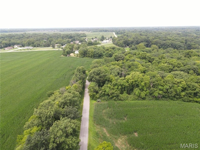 1454 Scott Troy Rd, Lebanon, IL 62254 - photo 37