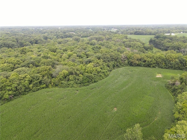 1454 Scott Troy Rd, Lebanon, IL 62254 - photo 38