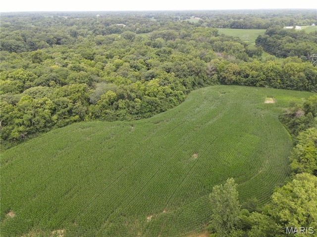 1454 Scott Troy Rd, Lebanon, IL 62254 - photo 39