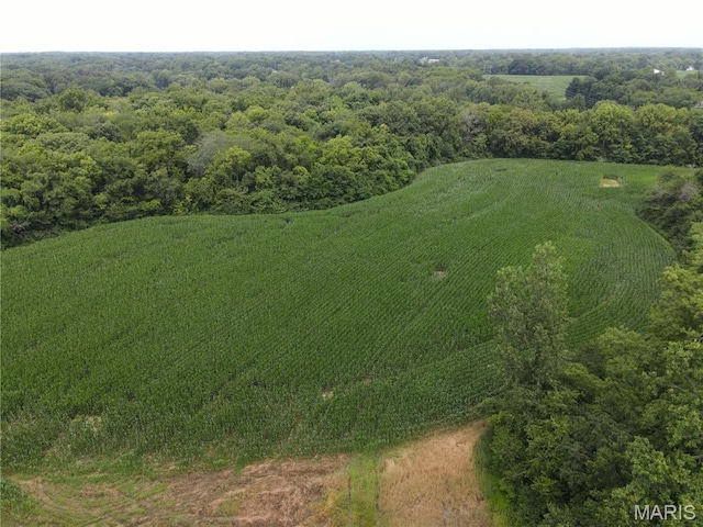 1454 Scott Troy Rd, Lebanon, IL 62254 - photo 40