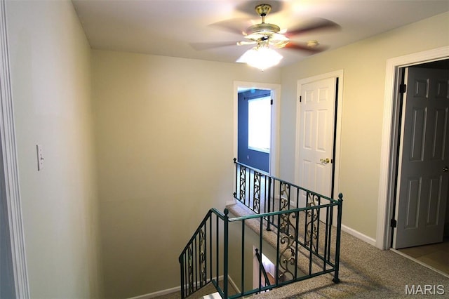 16054 Hunters Way Dr, Chesterfield, MO 63017 - photo 21