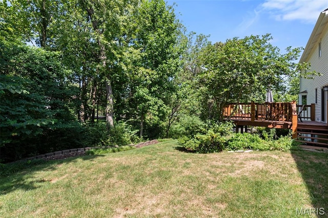 1806 Summer Lake Dr, Chesterfield, MO 63017 - photo 35