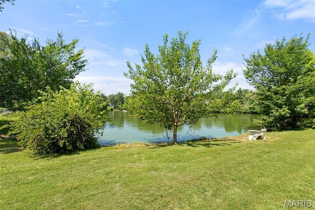 1806 Summer Lake Dr, Chesterfield, MO 63017 - photo 37