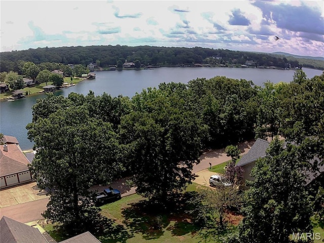 1761 N Capri Dr, Bonne Terre, MO 63628 - photo 51