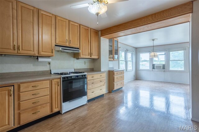 5185 Goethe Ave, Saint Louis, MO 63109 - photo 26