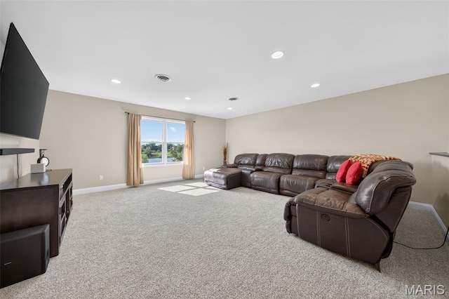 131 Summerhaven Ln, Troy, MO 63379 - photo 41