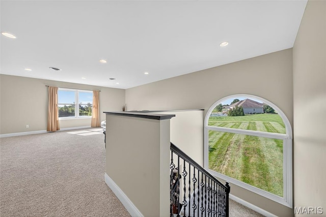 131 Summerhaven Ln, Troy, MO 63379 - photo 50