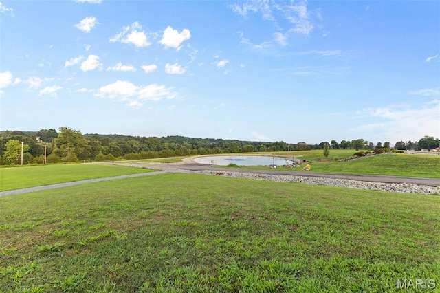 125 Twin Lks, Farmington, MO 63640 - photo 46