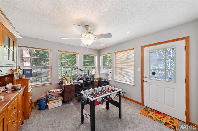 2266 Calgary Dr, Shiloh, IL 62221 - photo 14