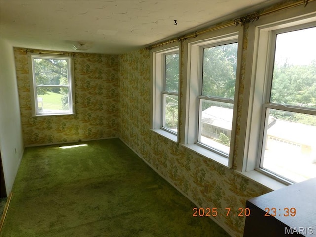 61 Inez Ave, Valley Park, MO 63038 - photo 4
