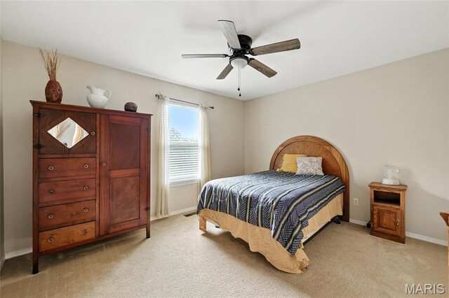 12 Sumter Dr, Hillsboro, MO 63050 - photo 30