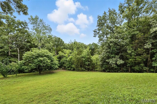 12 Sumter Dr, Hillsboro, MO 63050 - photo 46