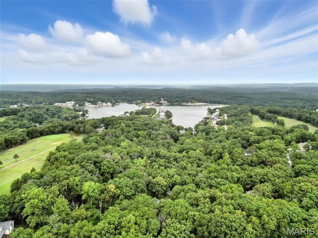 12 Sumter Dr, Hillsboro, MO 63050 - photo 52