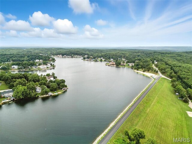 12 Sumter Dr, Hillsboro, MO 63050 - photo 53