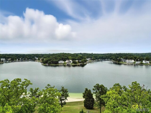 12 Sumter Dr, Hillsboro, MO 63050 - photo 54