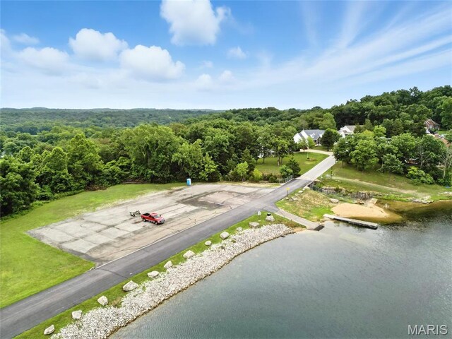 12 Sumter Dr, Hillsboro, MO 63050 - photo 56