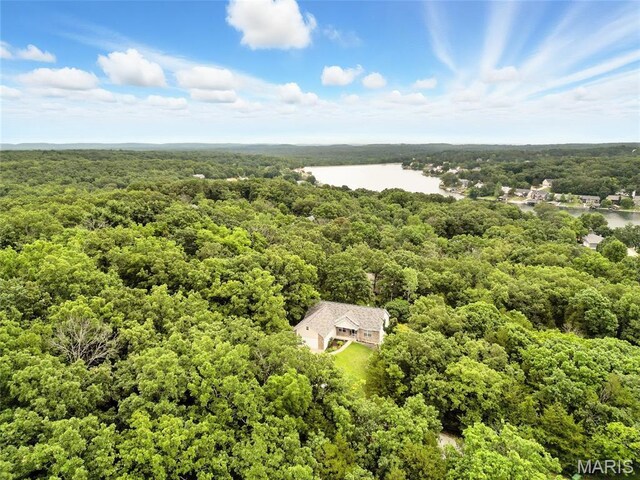 12 Sumter Dr, Hillsboro, MO 63050 - photo 58