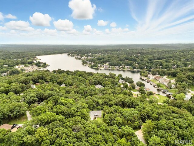 12 Sumter Dr, Hillsboro, MO 63050 - photo 59