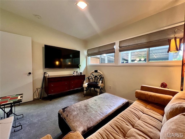 2401 Saint Giles Rd, Kirkwood, MO 63122 - photo 42