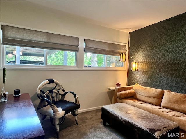 2401 Saint Giles Rd, Kirkwood, MO 63122 - photo 43