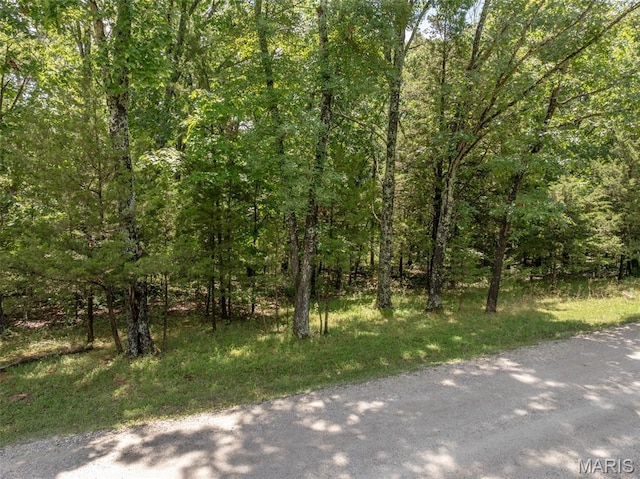 2625 Grendel Dr, Innsbrook, MO 63390 - photo 2