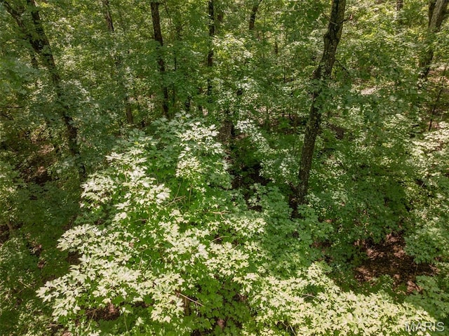 2625 Grendel Dr, Innsbrook, MO 63390 - photo 3