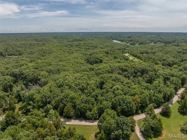 2625 Grendel Dr, Innsbrook, MO 63390 - photo 5