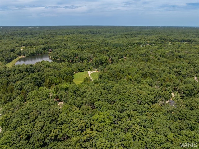 2625 Grendel Dr, Innsbrook, MO 63390 - photo 6