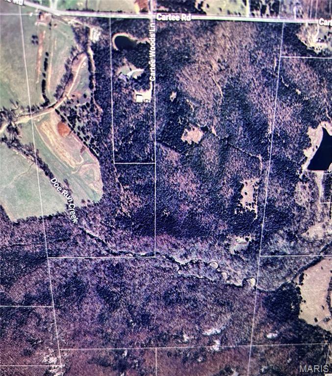 4240 Cartee Rd, Farmington, MO 63640 - photo 1