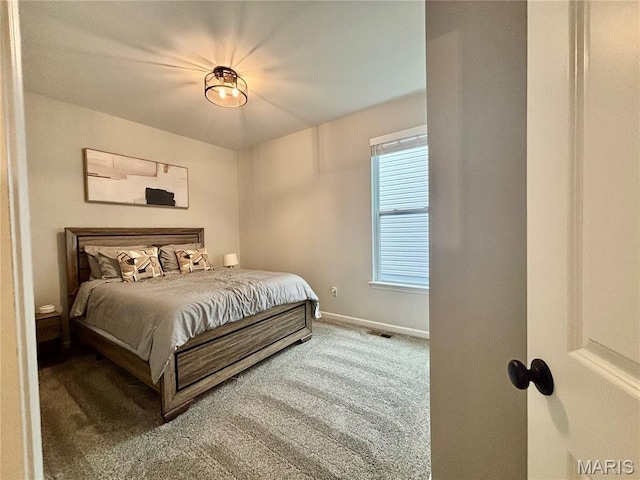 6615 Anna Grace Ln, Saint Louis, MO 63123 - photo 11