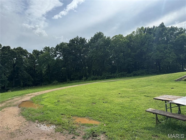 3958 Cedar Run Rd, Bonne Terre, MO 63628 - photo 4