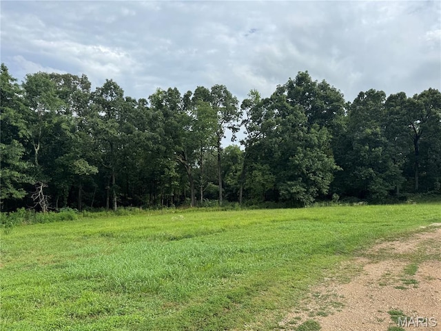 3958 Cedar Run Rd, Bonne Terre, MO 63628 - photo 5