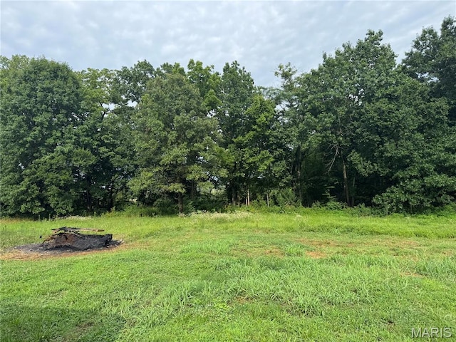 3958 Cedar Run Rd, Bonne Terre, MO 63628 - photo 6