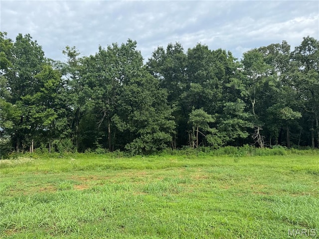 3958 Cedar Run Rd, Bonne Terre, MO 63628 - photo 7