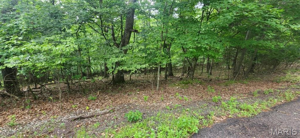 1896 Glenn Ct, Marthasville, MO 63357 - photo 2