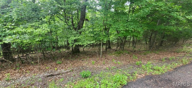 1896 Glenn Ct, Marthasville, MO 63357 - photo 2