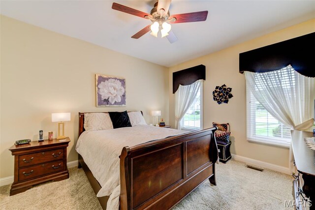 4500 Austin Point Ct, Saint Charles, MO 63304 - photo 41
