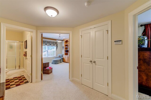 4500 Austin Point Ct, Saint Charles, MO 63304 - photo 43