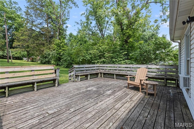 1609 Salem Hills Dr, Webster Groves, MO 63119 - photo 25