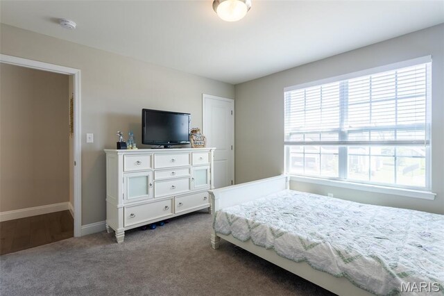 821 Topsfield Dr, Lake St Louis, MO 63367 - photo 42