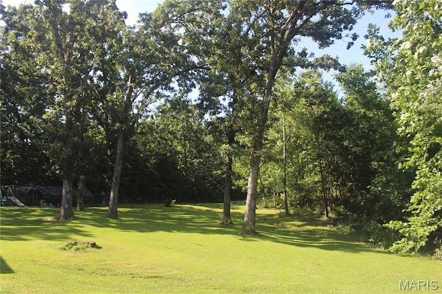 3351 Hamilton Town Rd, Doe Run, MO 63637 - photo 12