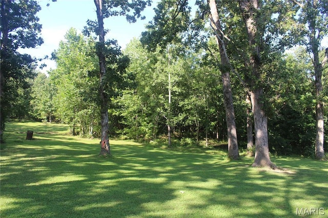 3351 Hamilton Town Rd, Doe Run, MO 63637 - photo 13
