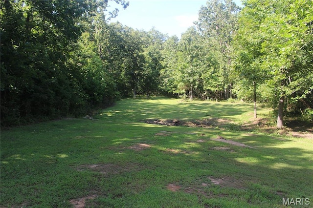 3351 Hamilton Town Rd, Doe Run, MO 63637 - photo 14