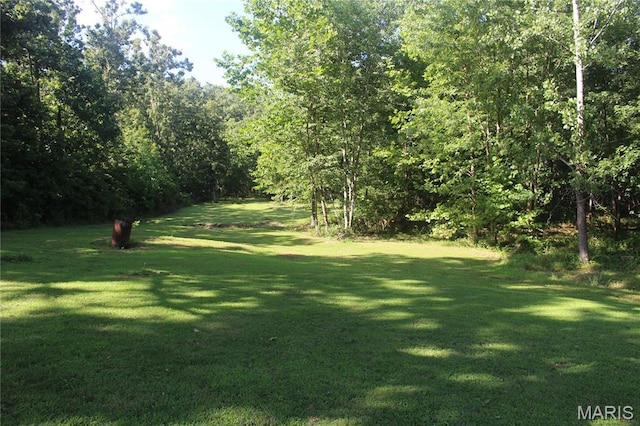3351 Hamilton Town Rd, Doe Run, MO 63637 - photo 15