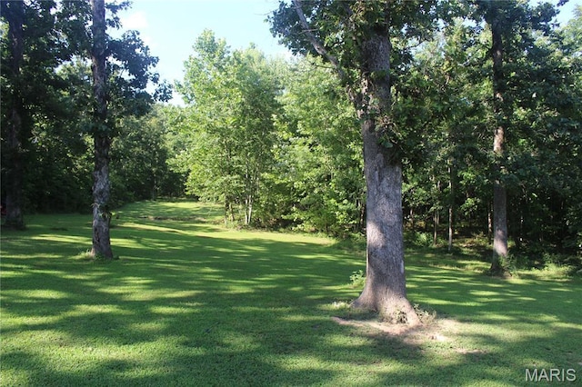 3351 Hamilton Town Rd, Doe Run, MO 63637 - photo 16