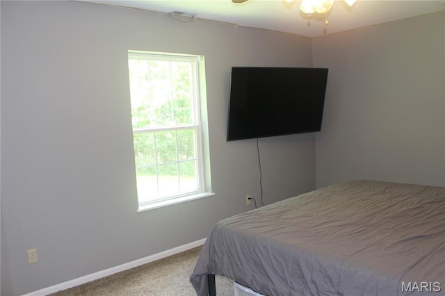 3351 Hamilton Town Rd, Doe Run, MO 63637 - photo 33